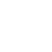 19+